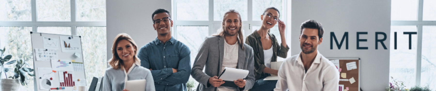 MERIT